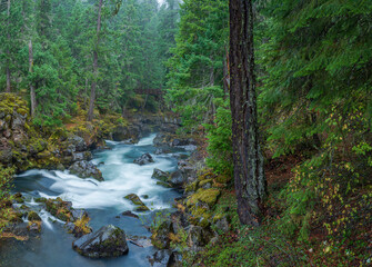 Rogue River Gorge near Union Creek and Crater Lake, Oregon, USA