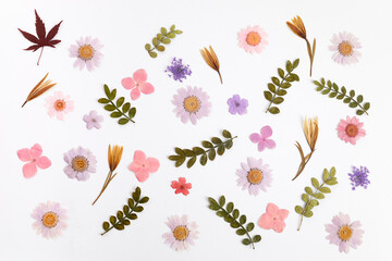 Natural dried flowers pattern on white bakground