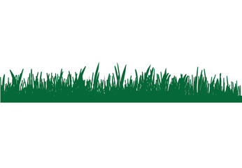 Vector green grass over white background