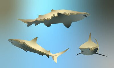 Cartoon sharks. Swimming calm ocean sharks. Big dangerous sea predators. A picture of marine wildlife.