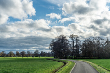 Fototapeta na wymiar Road with trees through the fields near Loenen at boundary between Veluwe and IJsselvallei (IJssel valley) in The Netherlands.
