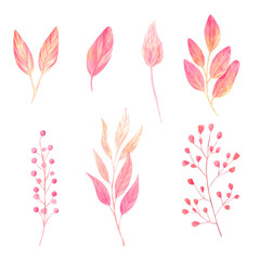 yellow and pink twigs for design. watercolor branches, leaves and dried flowers