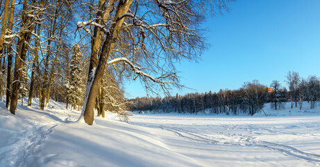 Beautiful winter morning landscape.Panoramic sunny view of snow covered trees in empty park during frosty winter morning.