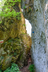 Wanderung auf dem Jägersteig im Naturpark Altmühltal, gesund, erholsam, erlebnisreich, anspruchsvoll