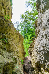 Fototapeta na wymiar Wanderung auf dem Jägersteig im Naturpark Altmühltal, gesund, erholsam, erlebnisreich, anspruchsvoll