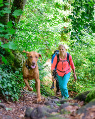 Wanderung mit Hund auf einem Erlebnis-Wanderweg im Naturpark Altmühltal, dem Jägersteig bei...