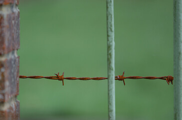close up of a small section of rusty barbed wire