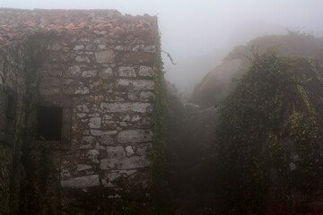 Old rural house and rocks with climbing ivy on foggy day