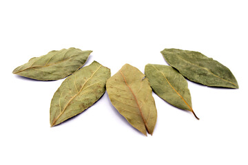 Bay leaves on a white background.