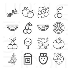 16 pack of ripe  lineal web icons set