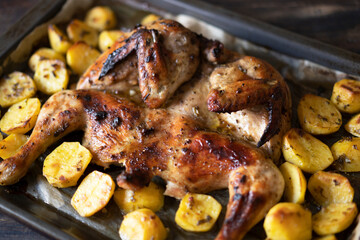 Grilled or roasted Chicken Tobacco on paper over baking sheet . Homemade freshly baked whole juicy chicken with potatoes, herbs, pepper. Selective focus, close up view. Organic country food.