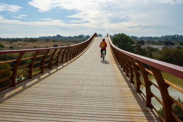 Guadalhorce River Bridge in Malaga