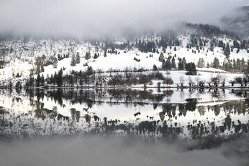 Morning fog on lake Bohinj, Slovenia