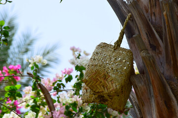Human hand made dates tree box tool. palm leaf dry jar hanging on wood in garden, brown background culture thing Arabic style picture