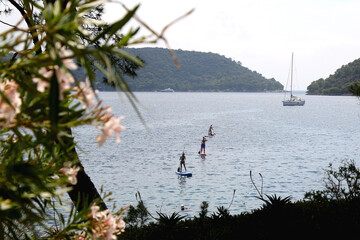 Unrecognizable people paddleboarding on the beach. Defocused pink oleander flowers in the...