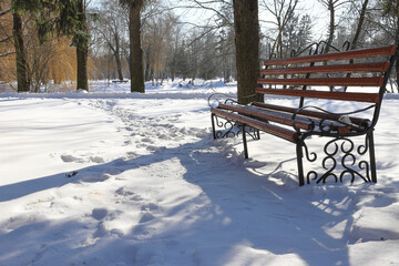 Empty bench in the winter city park, covered with snow. Snow covered the trees. Winter landscape.