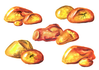 Transparent amber with insects inside set. Hand drawn watercolor illustration, isolated on white background