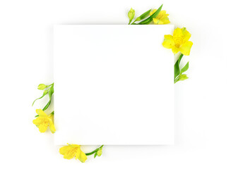 Spring composition. White flowers, paper blank white background. Flat lay, top view, copy space, mock up.