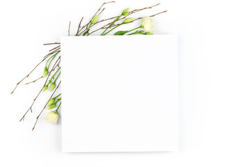 Spring composition. White flowers, paper blank white background. Flat lay, top view, copy space, mock up.