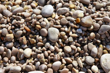 Round wet sea pebbles background, soft focus. Colorful smooth round pebbles sea texture backdrop 