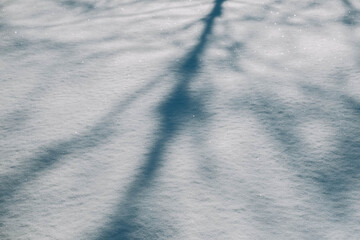 Shadow from a tree in the snow. Shade of tree silhouette on a snow. Copy, empty space for text