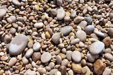 Round wet sea pebbles background, soft focus. Colorful smooth round pebbles sea texture backdrop 