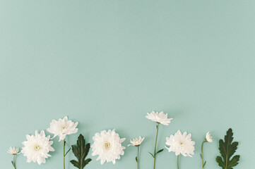 Creative  layout made with bright bloom white  flowers  on the soft blue background. Minimal...
