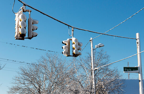 Hanging traffic lights filled with snow