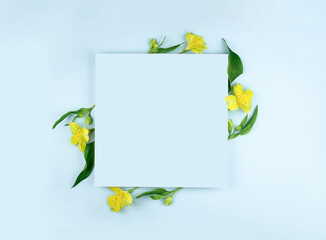 Spring composition. Yellow flowers, paper blank on pastel blue background. Flat lay, top view, copy space, mock up.