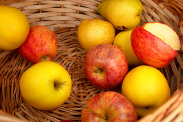 yellow and red apples in a wicker basket. organic and healthy food from your garden.