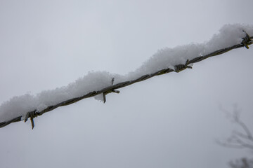 Stacheldraht verschneit