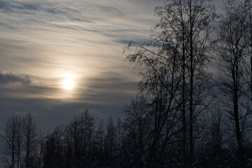 A landscape of winter forest, deciduous trees in the backlight of a sunny sunset, where the sun shines through the clouds that gradually cover the evening sky.