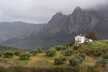 olive grove and country house in the natural park of the Subbetic mountains in Cordoba. Spain