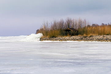 Golden reeds on the winter river