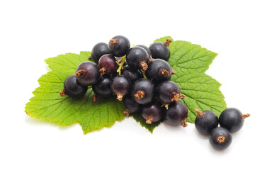 Ripe black currants on leaves. © ANASTASIIA