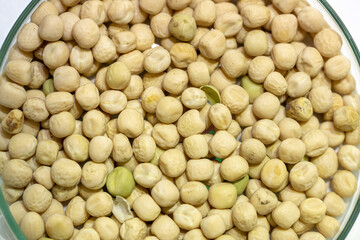 Soy seeds in a petri dish in the lab