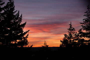 Beautiful, colorful and dramatic moody sunset sky over the Pacific Northwestern sky with peaks of tall, lush evergreens.