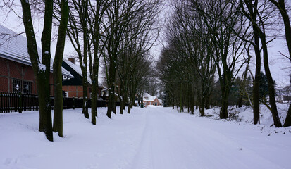 A road in a snow covered rural village in Germany. Trees at both sides of the road