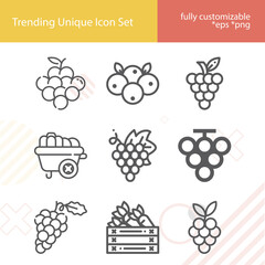 Simple set of grapes related lineal icons.