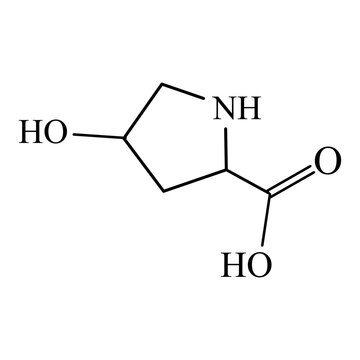 Amino acid Hydroxyproline. Chemical molecular formula Hydroxyproline amino acid. Vector illustration on isolated background