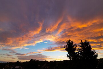 sunset in the forest