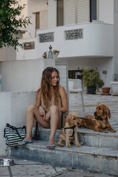 Young female having fun with her cocker spaniels and stray cat