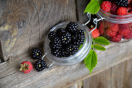 Berries organic harvest. Raspberry, black currant and blackberry. Organic berries from village garden for jam, smoothie or desserts. Grunge wooden background.