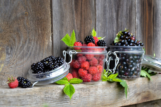 Berries organic harvest. Raspberry, black currant and blackberry. Organic berries from village garden for jam, smoothie or desserts. Grunge wooden background.
