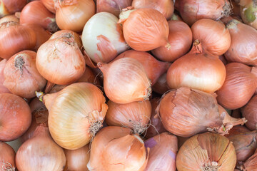 onions on the market