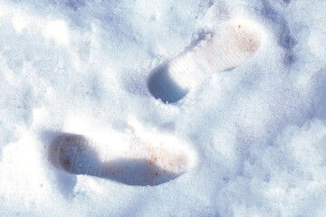 the footprint in the snow