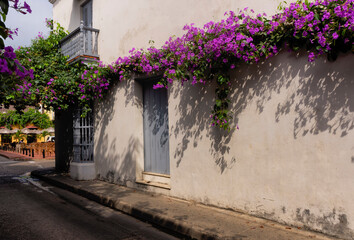 flowers in the street of the walled city of Cartagena de Indias Colombia