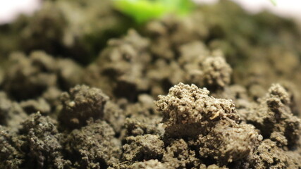 loose sandy soil close-up with granules of sand grains, fertile soil macro view under warm lighting, illustration of soil composition, blurred background of natural soil