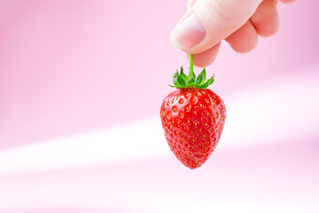 A woman holds in her hand one strawberry on a pastel pink pop background. Close-up of female fingers