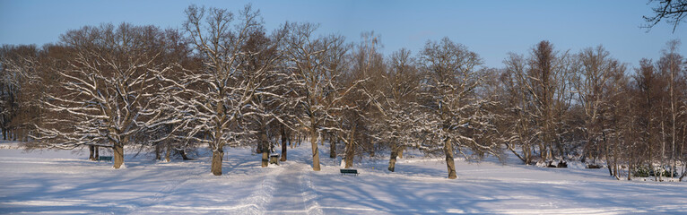 Winter view at the island Drottningholm park a winter day in Stockholm. 